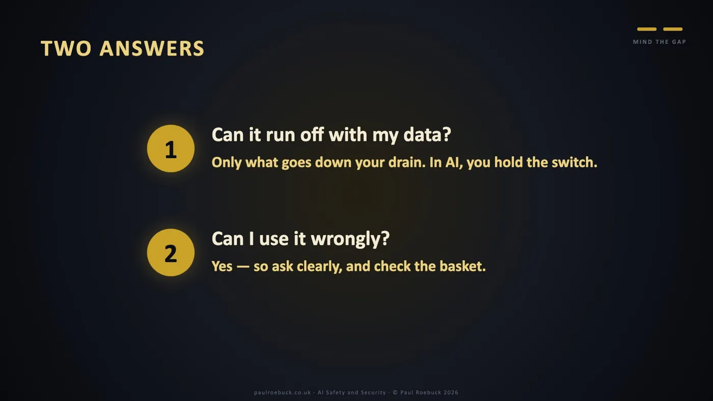 Slide 43: Two Answers. Can it run off with my data? Only what goes down your drain — in AI, you hold the switch. Can I use it wrongly? Yes — so ask clearly, and check the basket.