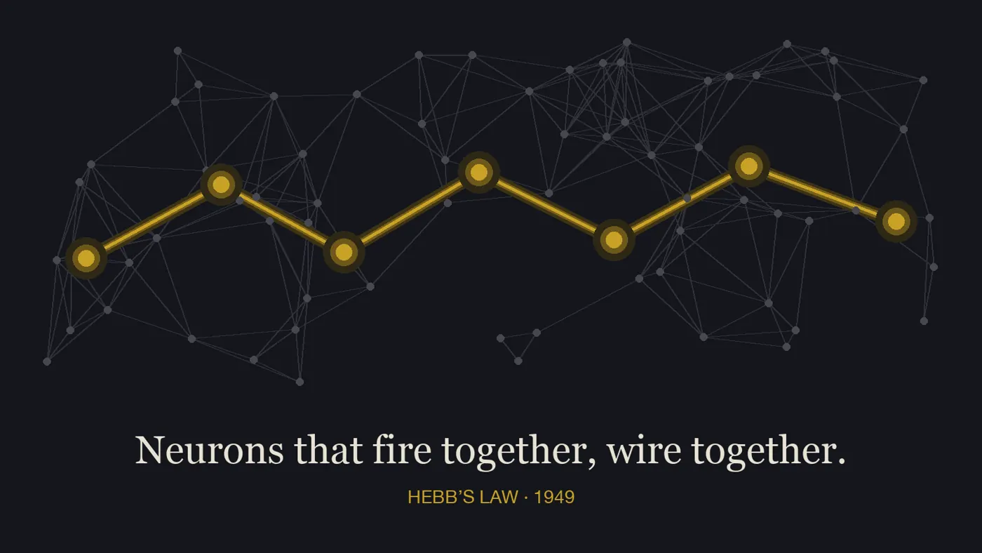 Illustration of a network of neurons with one bright gold pathway: neurons that fire together, wire together — Hebb’s Law, 1949